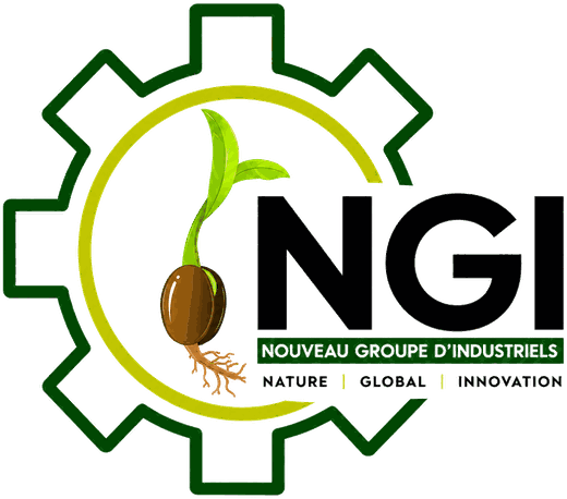 Logo Cabinet NGI Sarl